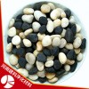 天然鵝卵石過濾層濾料 精選加工而成 密度2.6