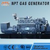 山東沼氣發電機組的調試方法_沼氣發電機價格