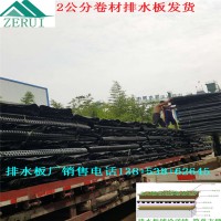 遼寧興城屋頂綠化排水板車庫(kù)濾水板地庫(kù)聚乙烯排水板供應(yīng)