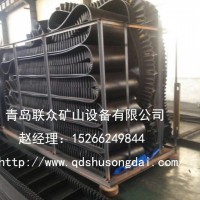 大傾角輸送帶防脫落型高質(zhì)量低價格