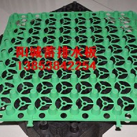 陽(yáng)城小區(qū)屋頂綠化蓄排水板，廠家直供