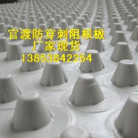 官渡屋面種植防穿刺阻根板，蓄排水板，廠家現貨