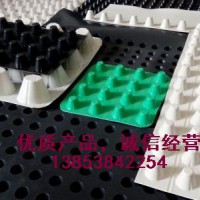 聚乙烯排水板，塑料排水板，復合排水板，泰安澤瑞建材