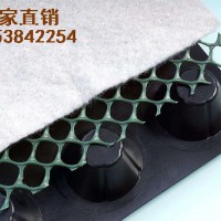 供應(yīng)寧夏車庫排水板蓄排水板，廠家直銷