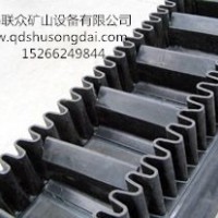 供應(yīng)輸送帶 擋邊輸送帶 波狀裙邊輸送帶 耐高溫?fù)踹呡斔蛶?/></a>
<div><a href=