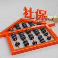 代繳深圳員工社會(huì)保險(xiǎn)，代繳東莞社會(huì)保險(xiǎn)，代繳惠州單位社保