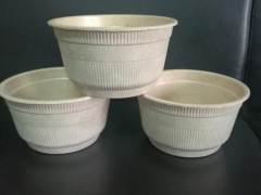 甘蔗渣秸稈生態全降解餐具及包裝制品生產流水線