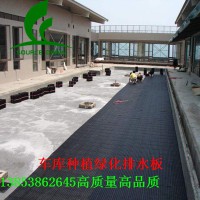 （環(huán)境綠化疏水板）東營(yíng)20高車庫(kù)底板濾水板