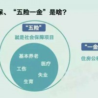 湛江員工社保代理，韶關單位社保代買，揭陽公司社保代交