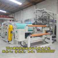 熱熔膠港寶設備，75雙螺桿港寶機，TPU港寶片材機