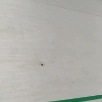 楊木膠合板家具沙發板包裝多層板