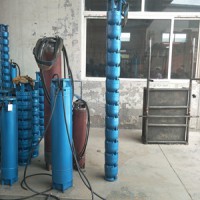天津熱水潛水泵現場
